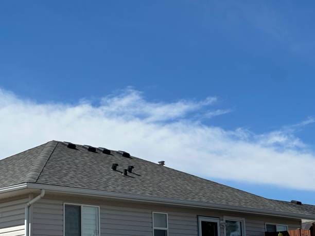  Palm Beach Gardens, FL Roofing Service Pros